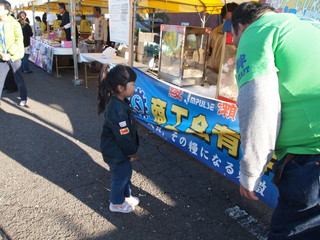 PB187063.jpg