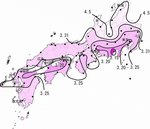 sakura2007_1.jpg
