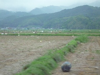 P1000923.jpg