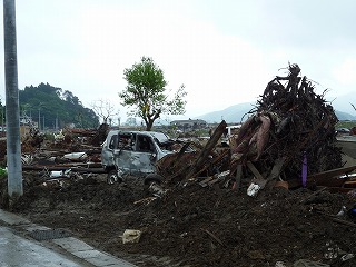 P1000937.jpg