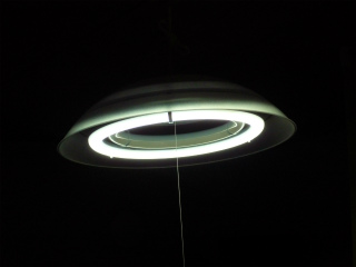 P1010294.jpg