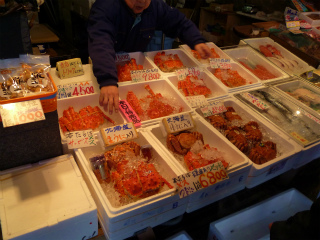 P1010349.jpg