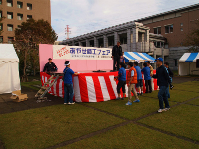 PA234529.jpg