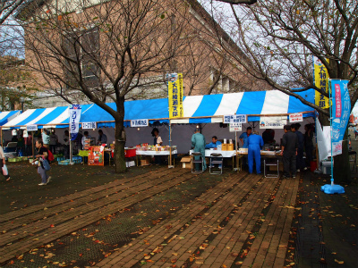 PA234531.jpg