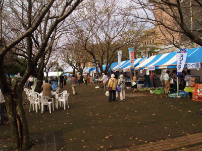 PA234532.jpg