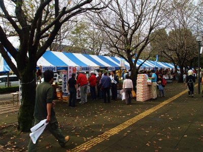 PA234533.jpg