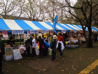 PA234534.jpg