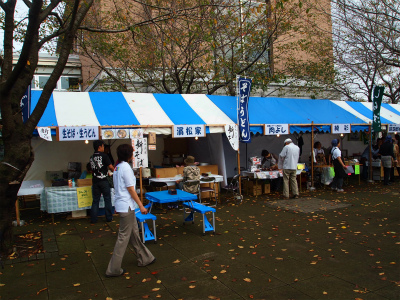 PA234536.jpg