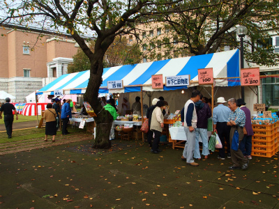 PA234537.jpg