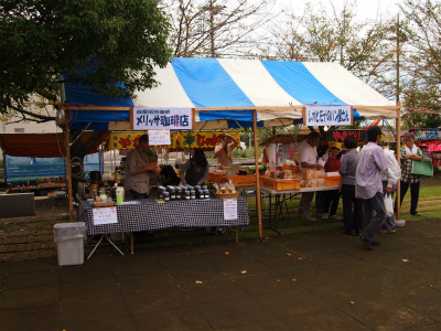 PA234541.jpg