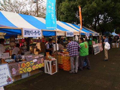 PA234542.jpg