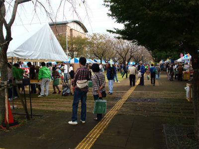 PA234548.jpg