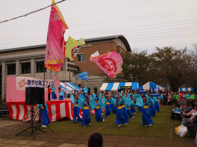 PA234557.jpg