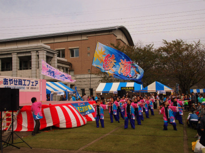 PA234559.jpg